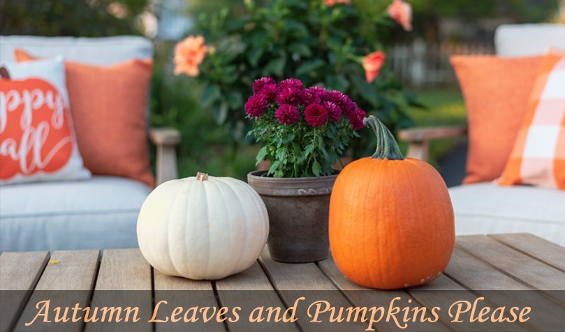 fall slider